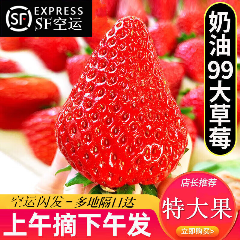草莓产品历史价格|草莓价格比较