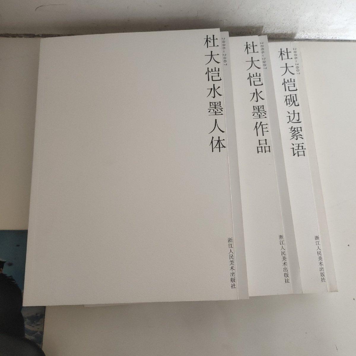 【二手八成新】杜大恺水墨作品2006-2007:水墨人体 水墨作品 砚边絮语