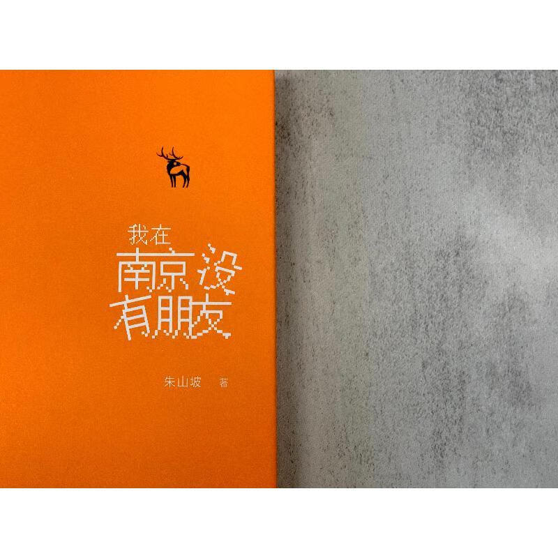 我在南京没有朋友9787532170456 朱山坡文艺出版社小说