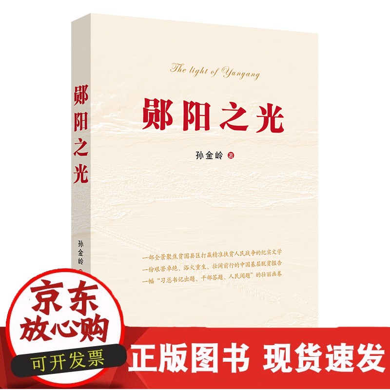郧阳之光 孙金岭著