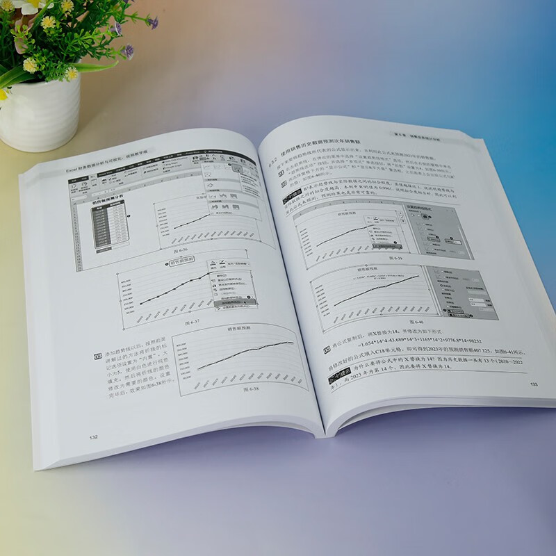 Excel财务数据分析与可视化（视频教学版）