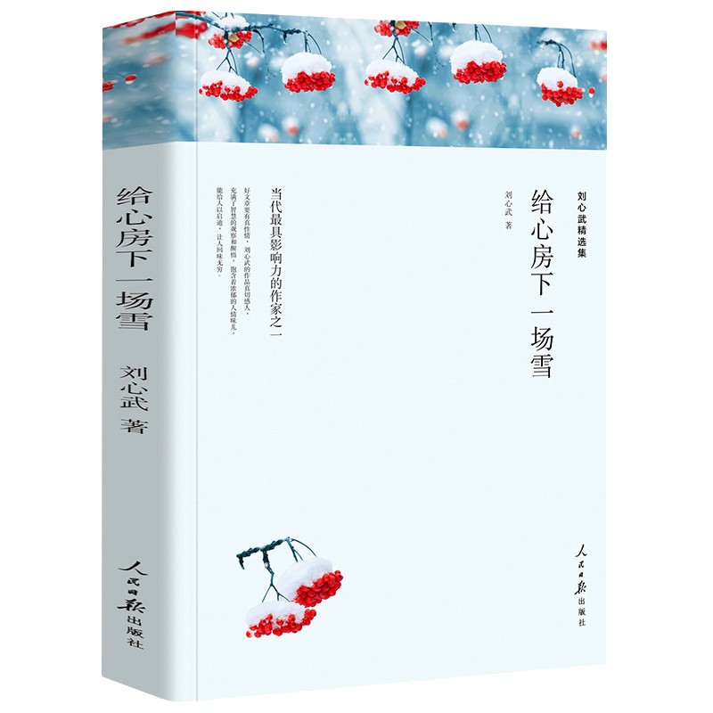 名家文丛—给心房下一场雪（刘心武精选集）