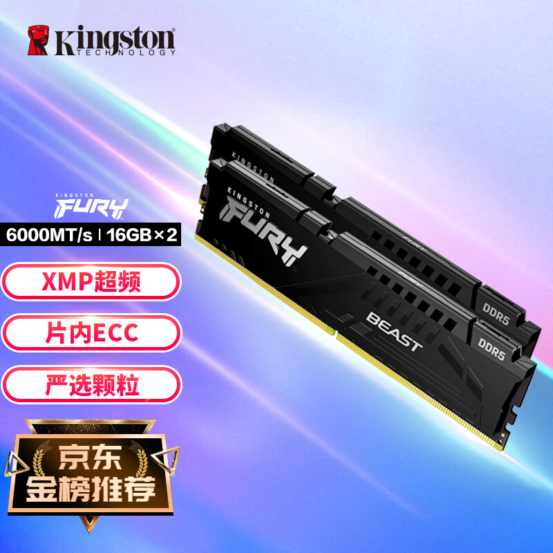 金士顿 (Kingston) FURY 32GB(16G×2)套装 DDR5 6000 台式机内存条 Beast野兽系列 骇客神条属于什么档次？