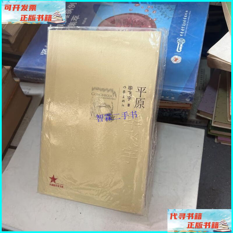 【二手9成新】平原 /毕飞宇 作家出版社