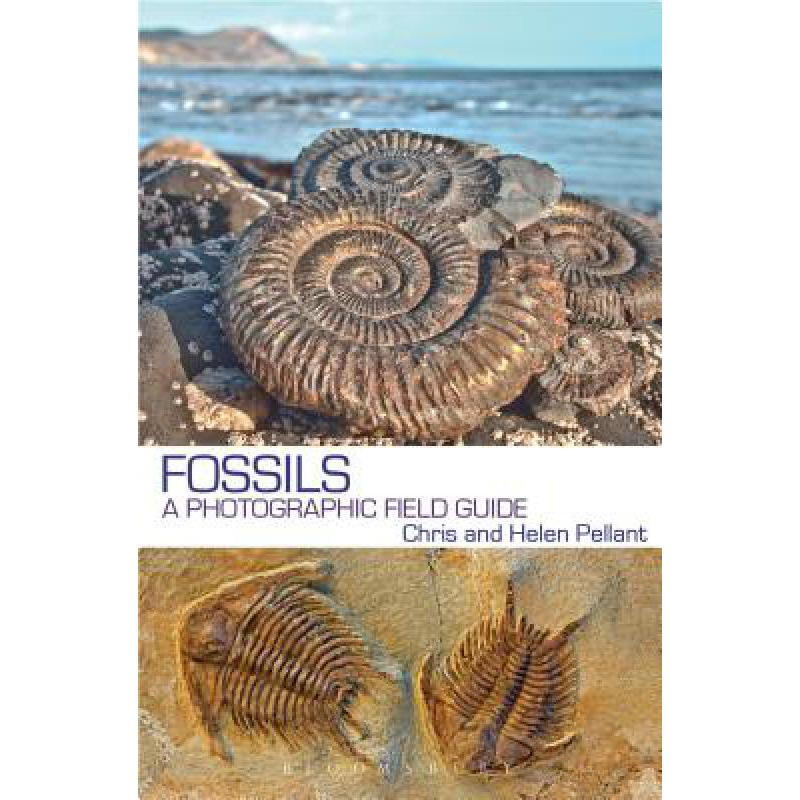 fossils: a photographic field guide