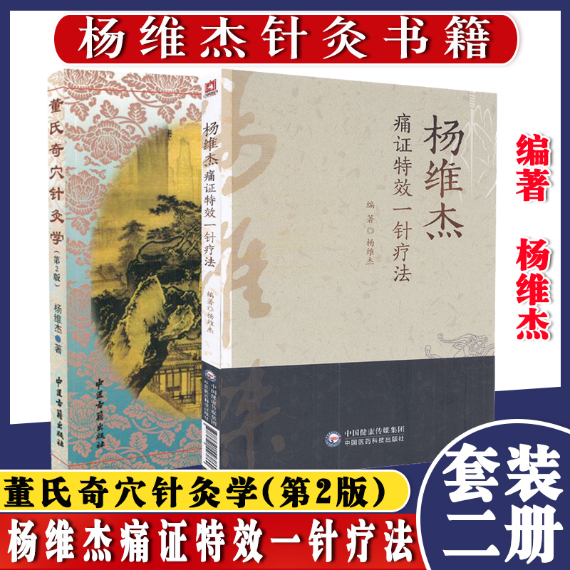 共2册 董氏奇穴针灸学(第2版)+杨维杰痛证特效一针疗法中医养生穴位推拿按摩针灸学经络穴位基础入门