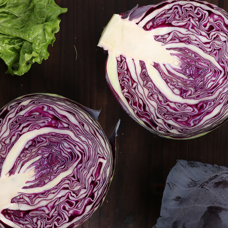 新鲜紫甘蓝蔬菜沙拉菜现采现发坏单包赔紫叶菜紫球菜紫包菜 紫甘蓝2-3