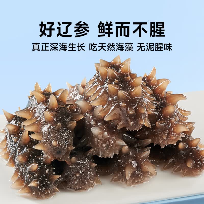 久年大连海参开袋鲜活辽参海生野生海参 500g 6-9只/1斤