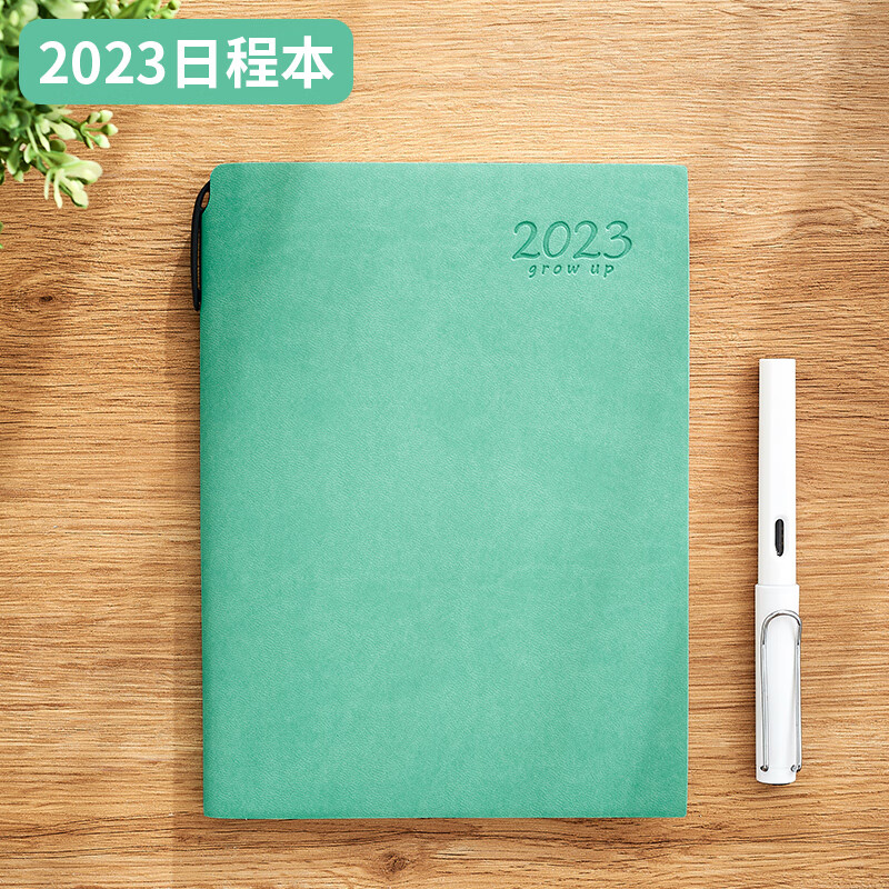 齐时雁2023年每日计划表工作日程本一日一页365天带日期时间管理周