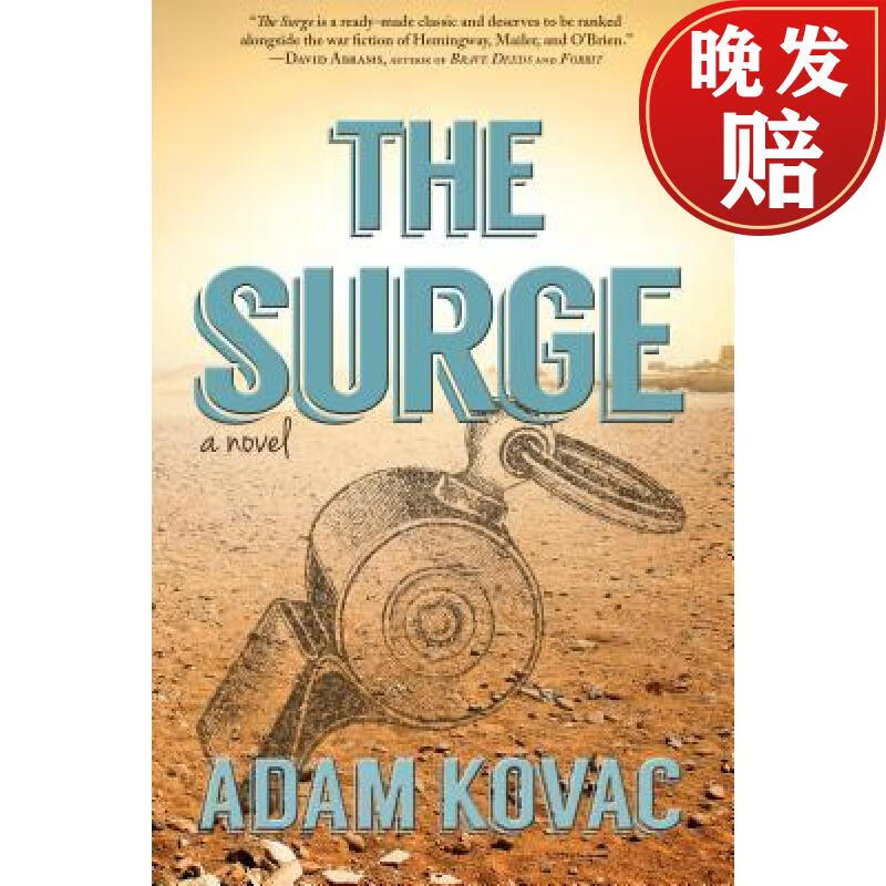 【4周达】the surge