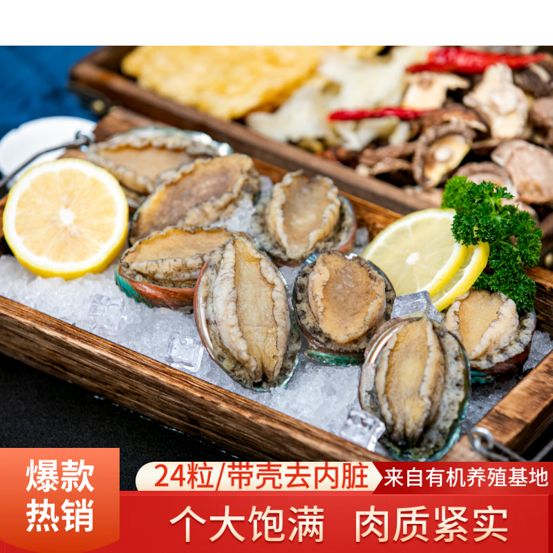 江船長(cháng)新鮮速凍九成熟凍大鮑魚(yú)三去免處理火鍋燒烤過(guò)節送禮鮮活冷凍貝類(lèi) 8粒一袋*3（550g帶殼去內臟）