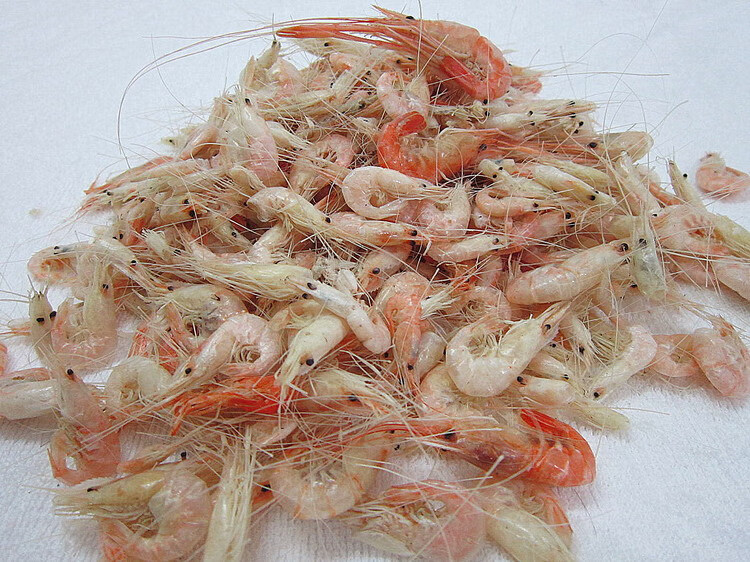 鲜有志安徽特产淡水白米虾干淡干低盐干货小河虾白虾米虾仁非太湖白