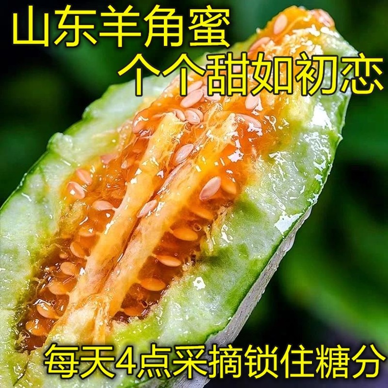 现摘羊角蜜 甜瓜 香瓜 蜜瓜 新鲜水果 【4.5斤装】普通-正常挑选