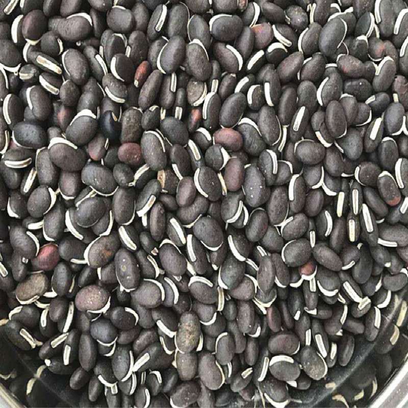 葛藤种子护坡种籽百花银背藤野葛根边坡绿化藤本植物沙土巩固爬藤