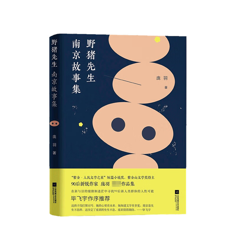 野猪先生 南京故事集 庞羽 著
