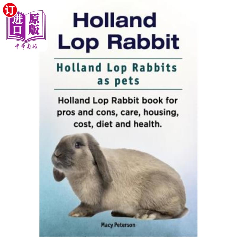 荷兰罗布兔书的