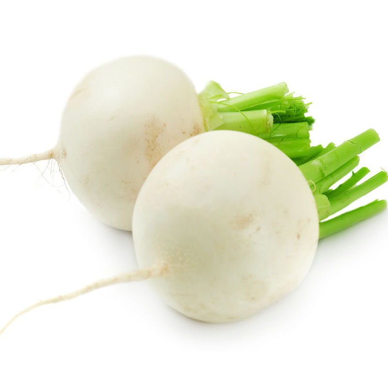 语辰彤 白玉珍珠萝卜种子 水果萝卜冬季阳台盆栽水果四季播蔬菜种子