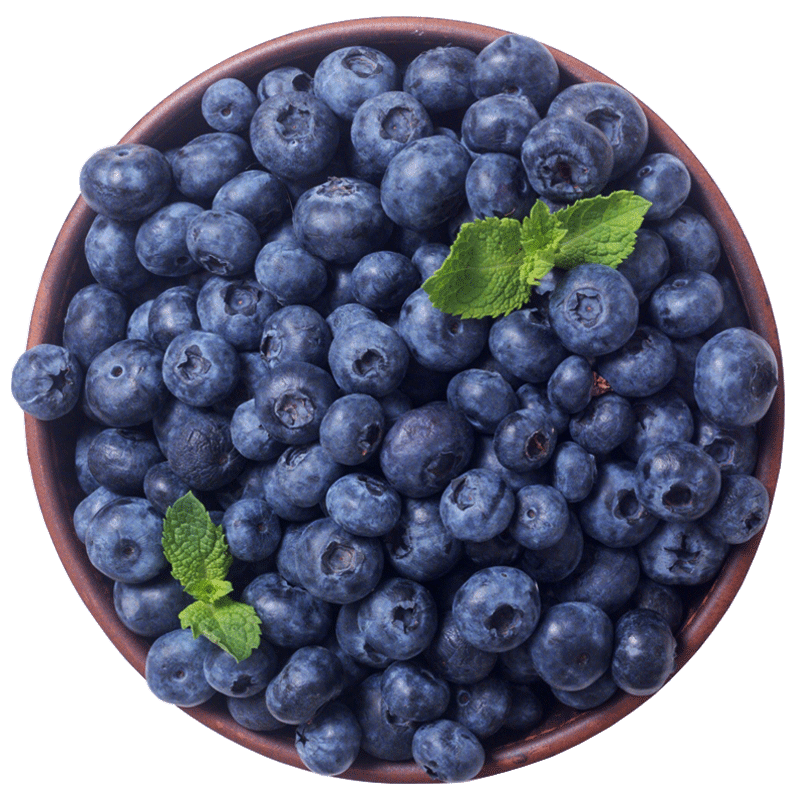 京丰味蓝莓水果 国产新鲜大蓝莓 时令水果蓝梅 整箱1斤装 中大果 约12-16mm
