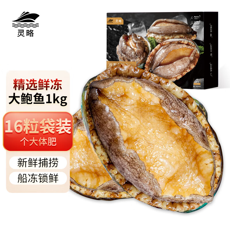 灵略活冻大鲍鱼 1000g 16粒袋装火锅食材烧烤煲汤冷冻海鲜生鲜