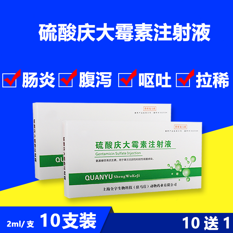 庆大霉素针剂硫酸庆大霉素注射液兽药兽用宠物猫狗用肠炎口服 一盒