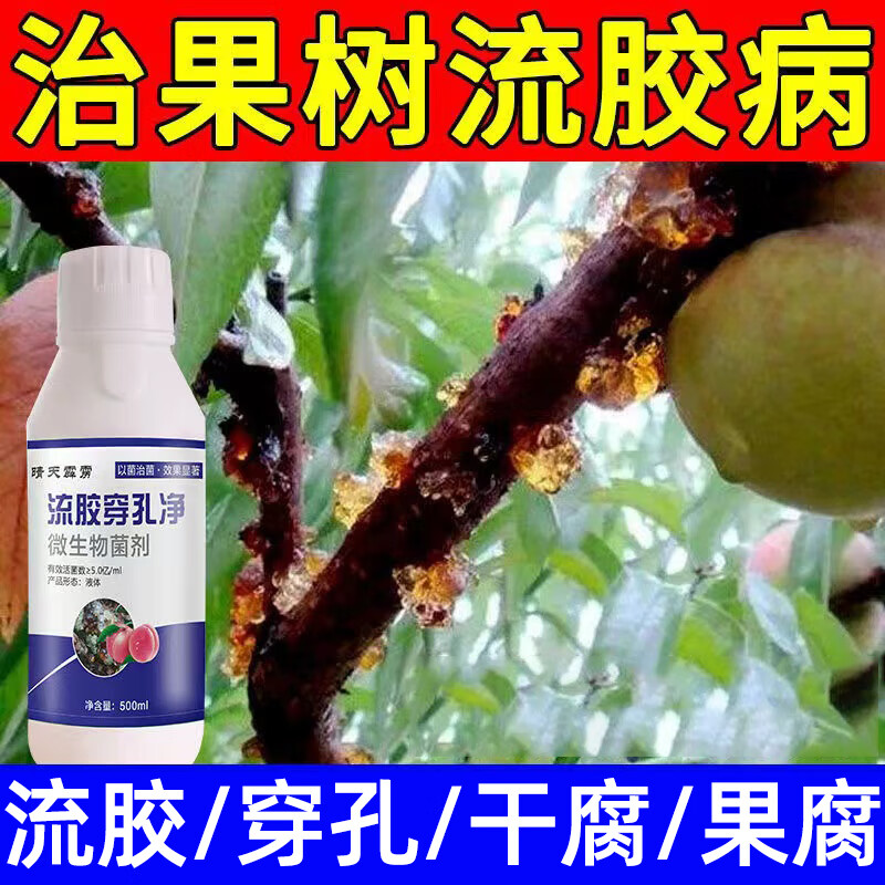 旋转乾坤桃树流胶病专用药穿孔专用药杏子树穿孔病根腐烂胶杀菌果树