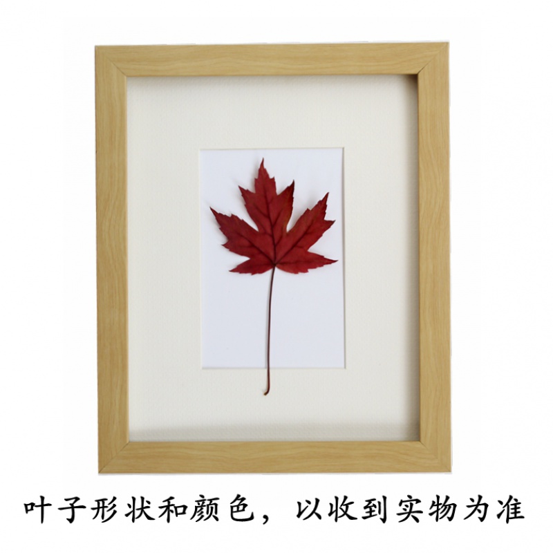新品原生植物银杏枫叶标本相框简约装饰框创意手工工艺品 红枫叶 20*