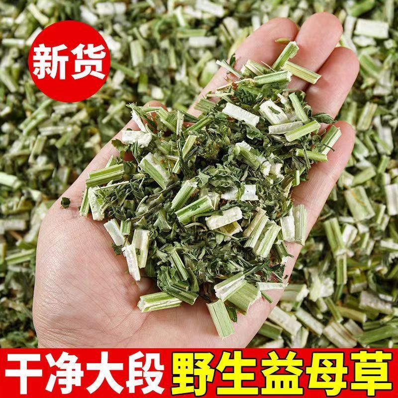 同仁堂品质益母草新鲜泡水喝调理姨妈益母草干泡茶中药材泡脚可搭艾叶