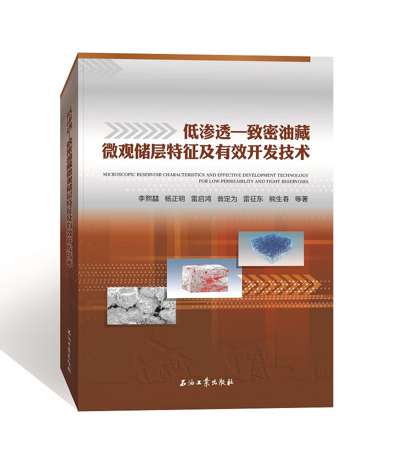 低渗透—致密油藏微观储层特征及有效开发技术