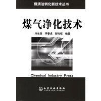 煤气净化技术/煤清洁转化新技术丛书