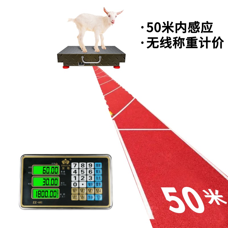 至尊新款手持无线电子秤做生意用摆摊台秤下乡收粮收废品磅秤手提分离式精准称水果批发秤不准包退换 【碳钢无线300公斤42*52】加大加厚