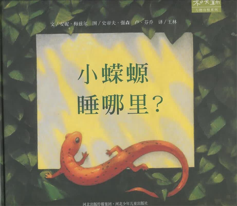 小蝾螈,睡哪里