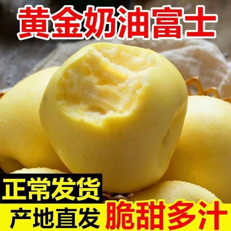 文枝山东奶油富士脆甜苹果水果牛奶苹果黄金富士苹果新鲜现摘水果 5斤【净重4.5斤】 家庭装75mm+
