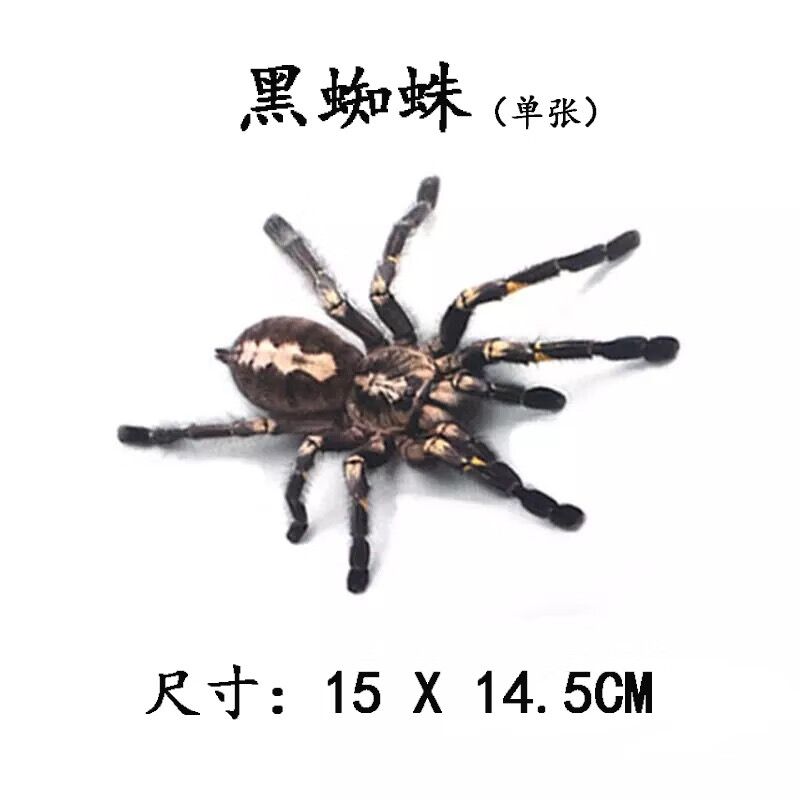 唐杉(tangshan)汽车贴纸个性创意3d立体仿真蜘蛛蝎子车贴恶搞前杠车身