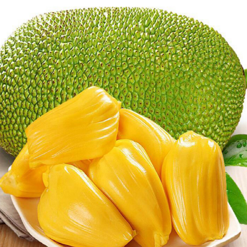 海南三亚菠萝蜜新鲜水果榴莲蜜 波罗蜜 15-16斤