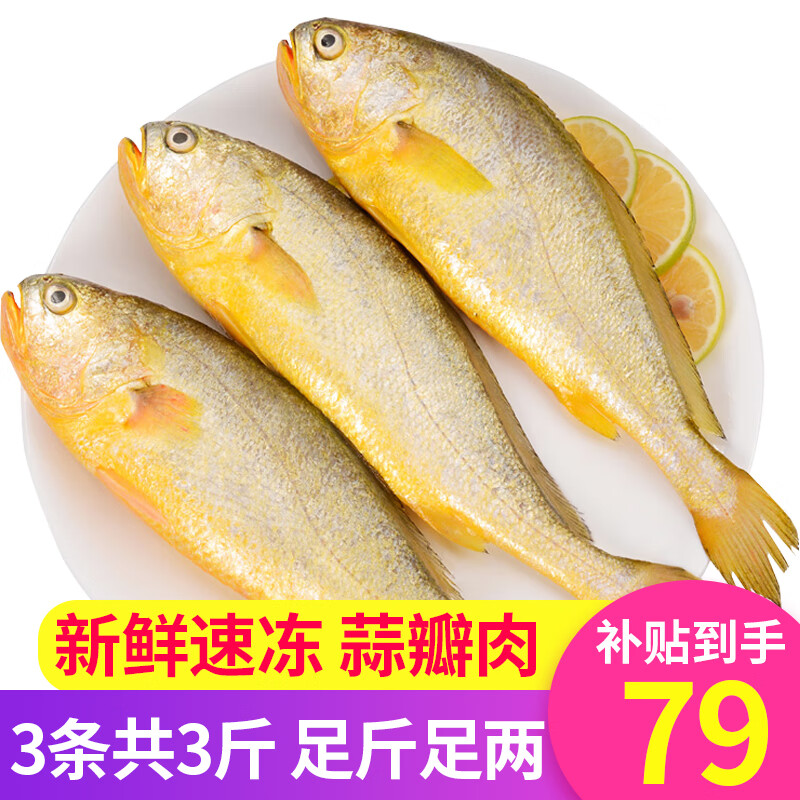 弹指鲜生 黄花鱼1.5kg 活冻大黄鱼3条 冷冻黄鱼海鲜水产
