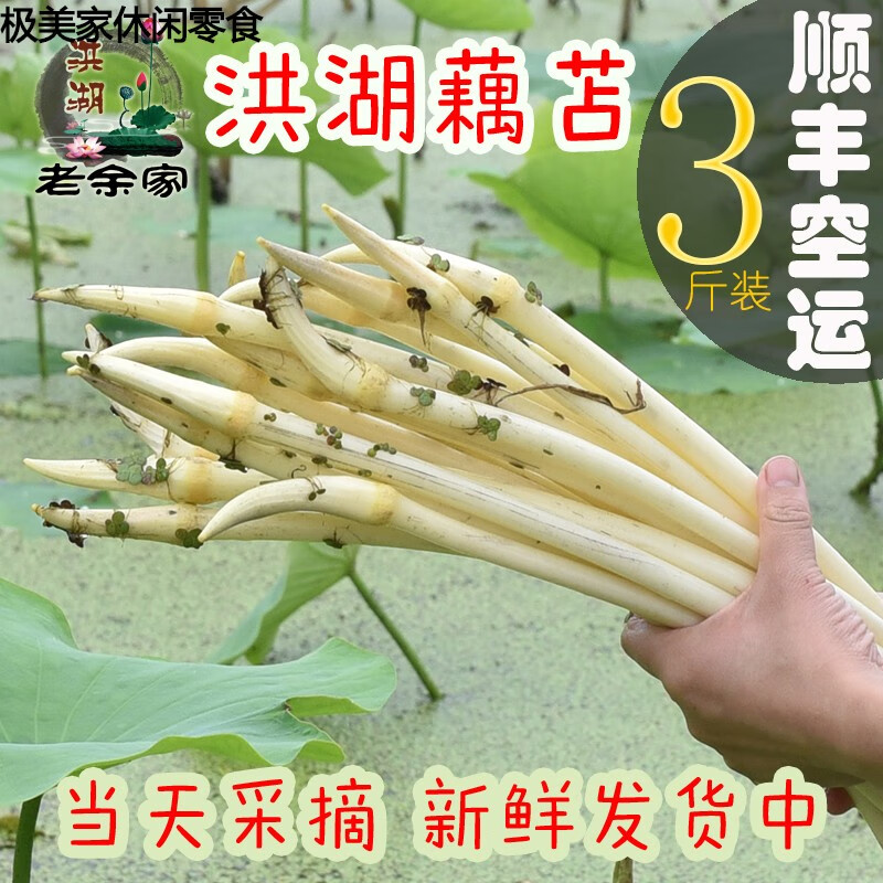 朵朵玲珑(tonloss)老余家藕苫洪湖新鲜藕带嫩藕尖湖北特产莲藕带藕