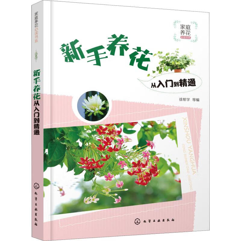 新手养花从入门到精通