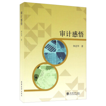 审计感悟 林忠华【正版书】