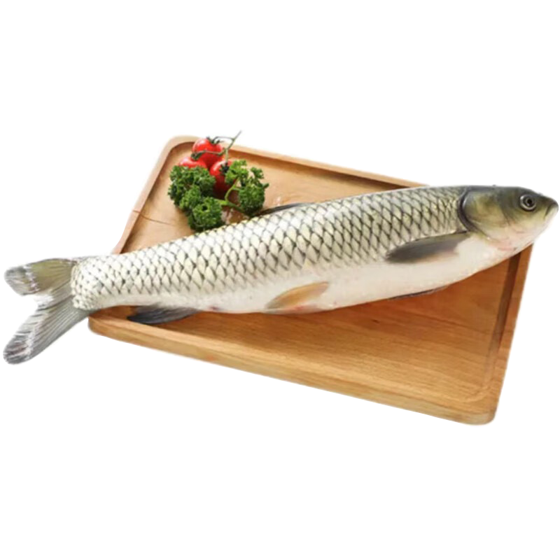 鲜京采 鲜活草鱼1条 1kg起（宰杀去脏失重约15%-30%）淡水鱼活鲜