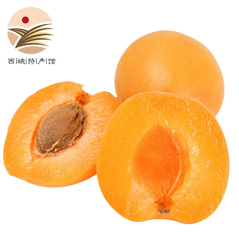 ������Դ����� ���������̫������� ����ˮ�� 2.5kg