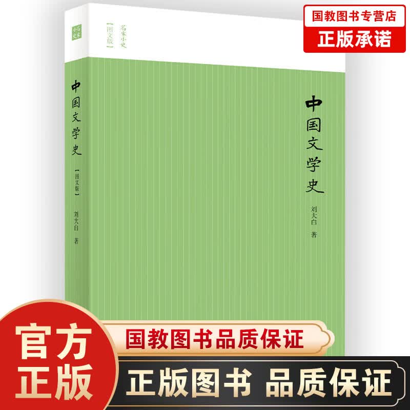 正版包邮  名家小史一中国文学史（图文版） 中国文学史书籍 畅想畅销书