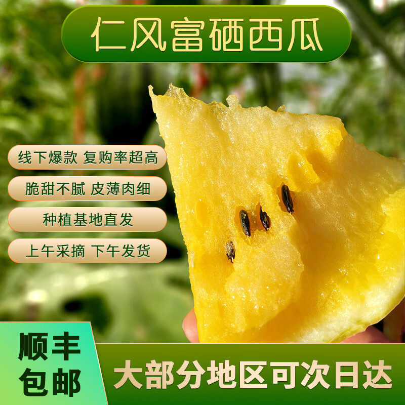 菓灵稥现摘新鲜西瓜济阳仁风富硒西瓜新鲜水果黄瓤黄心脆甜多汁顺丰