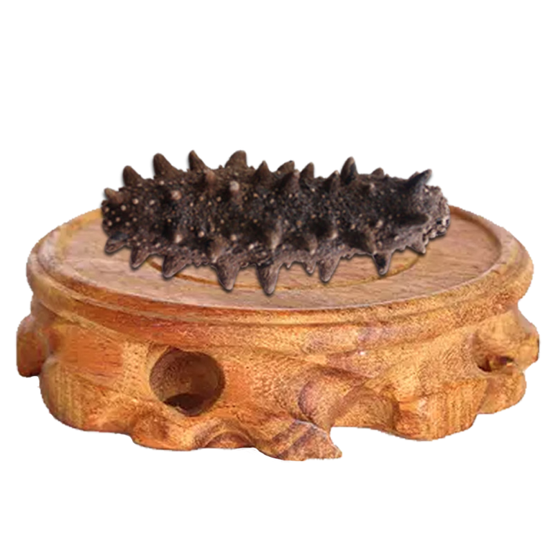 千舟岛正品珍品淡干海刺参威海特产非即食海参 2.3-2.9cm较小1只 每满20只送1只