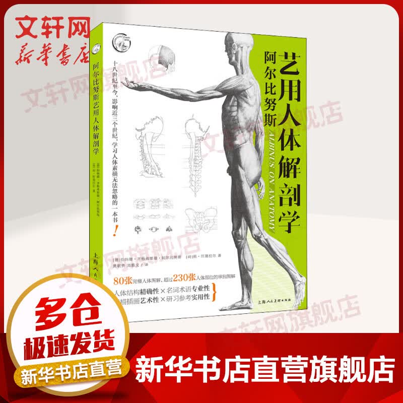 阿尔比努斯艺用人体解剖学