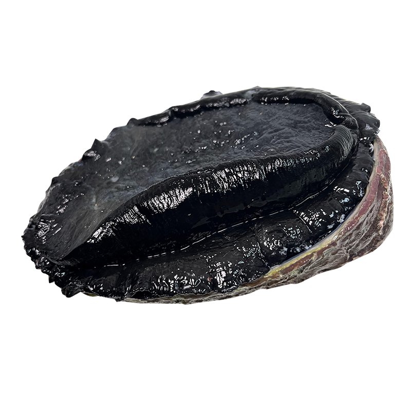 ��ʳ �������ڽ� ����߶�ʳ�����ʺ���ˮ���������� �������ڽ� 400-500g/ֻ 790Ԫ��5��(��158Ԫ/��)