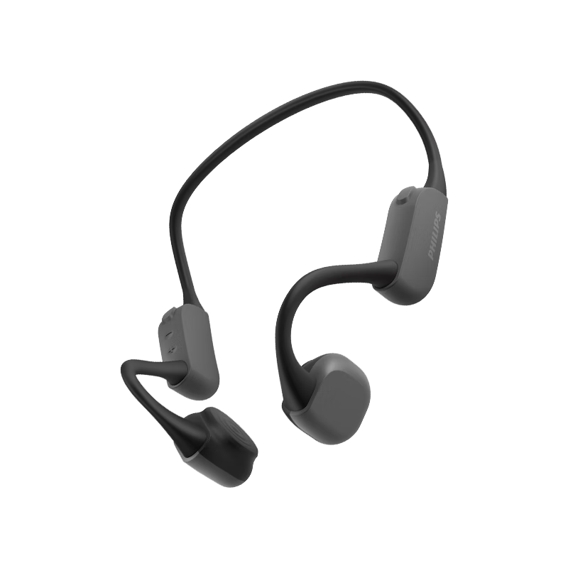 �����֣�PHILIPS���Ǵ������������˶����߶����Ǵ��������ܲ��������ҹ�ܵ�TAA6606��ɫ