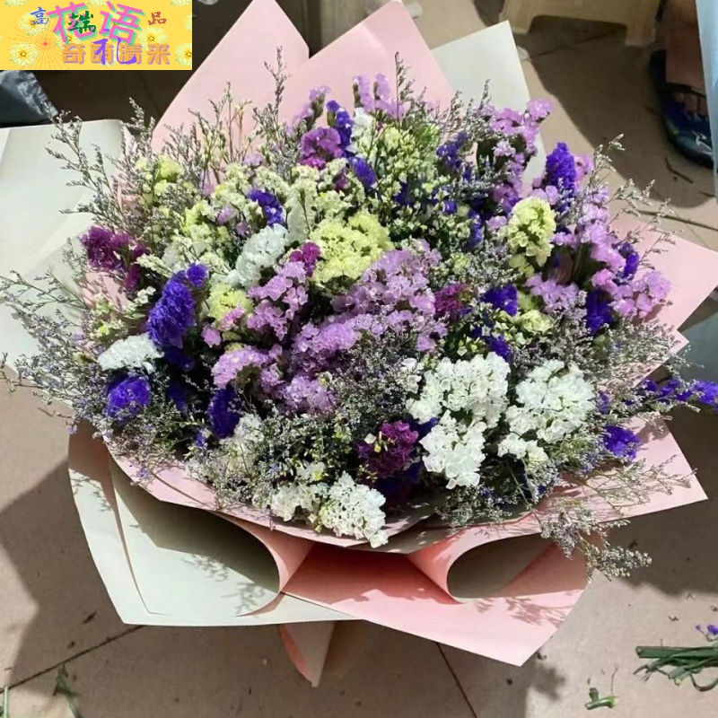 满天星假花摆件diy花束制作送女云南勿忘我干花花束鲜花真花批发插花