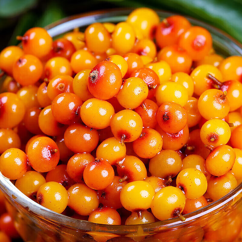 内蒙正宗野生沙棘果 中华小果新鲜沙棘鲜果纯果3斤20袋装 3斤带箱(20