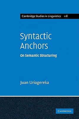 预订 syntactic anchors