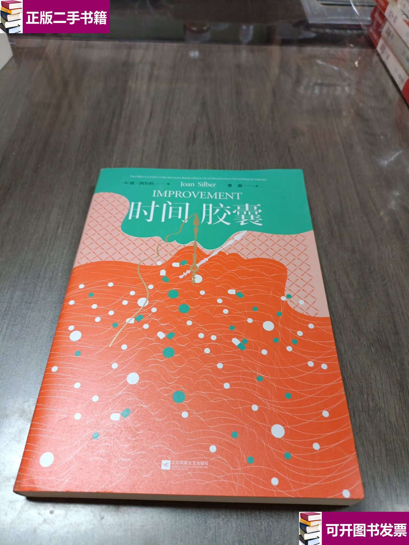 【二手9成新】时间胶囊(美国国家书,福克纳小说奖获奖作品,作者被誉为